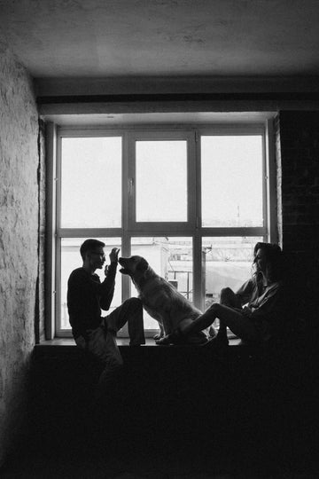 The Role of Treats in Bonding with Your Dog