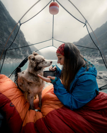 10 Fun Facts About Dogs and Their Love for Treats