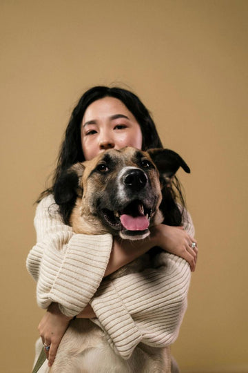 The Role of Jerky Treats in a Dog’s Diet