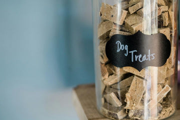 How to Store Dog Treats for Maximum Freshness