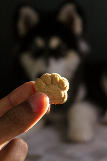 The Economics of Dog Treats: Are Expensive Treats Really Better?