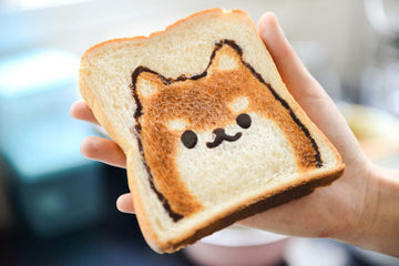 5 DIY Training Treat Recipes That Dogs Love