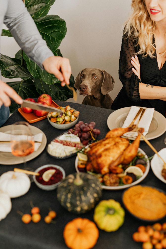 Thanksgiving Treats Your Dog Can Safely Enjoy