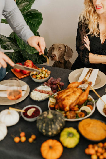 Thanksgiving Treats Your Dog Can Safely Enjoy