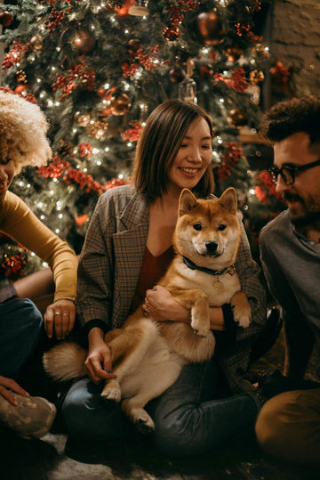 DIY Holiday Dog Treats Recipes for Every Season