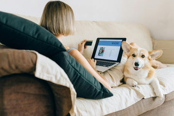 Understanding Protein in Dog Treats: Why It Matters for Muscle & Energy