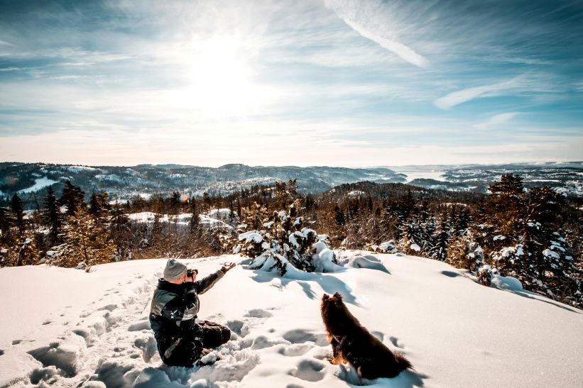 How to Make Every Treat Time Special: Creating Unforgettable Moments with Your Dog