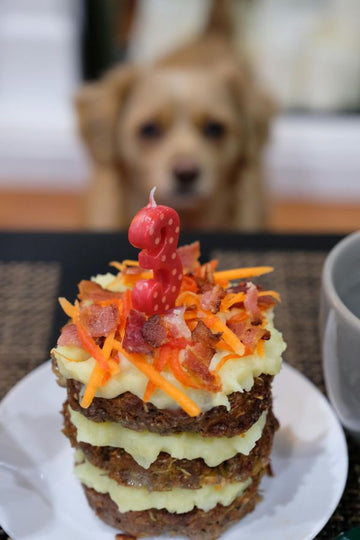 Birthday Treats for Dogs: How to Make Their Day Special