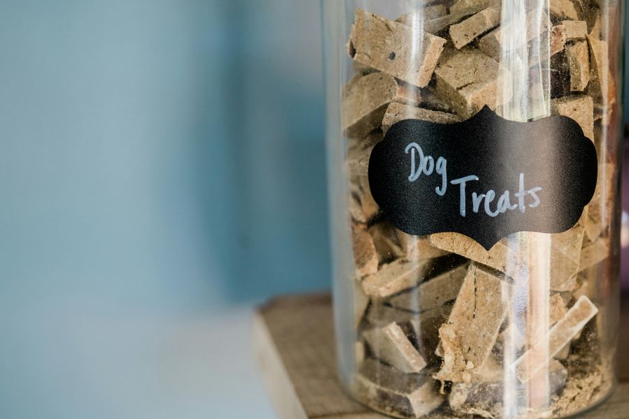 How to Store Dog Treats for Maximum Freshness