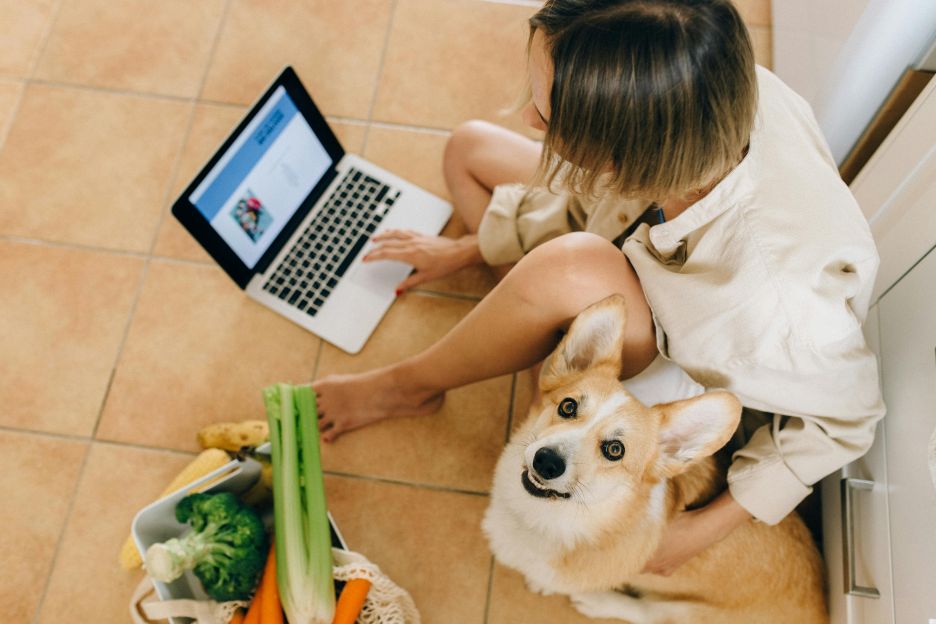 Understanding Expiration Dates on Dog Treats