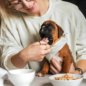 Single-Ingredient Treats vs. Multi-Ingredient Treats: A Buyer's Guide