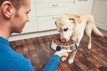 How to Spot Low-Quality Dog Treats: Red Flags on the Label